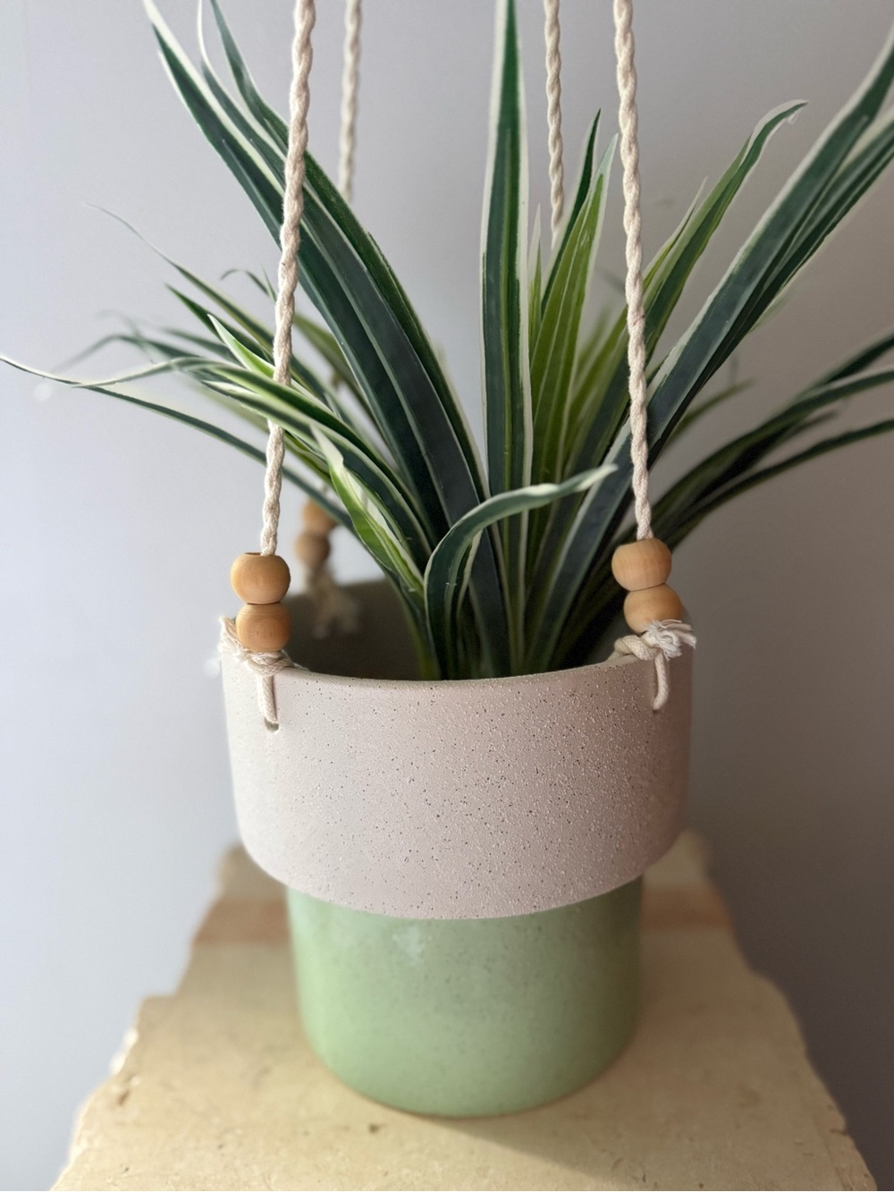 PLANT | pot with macrame hanger